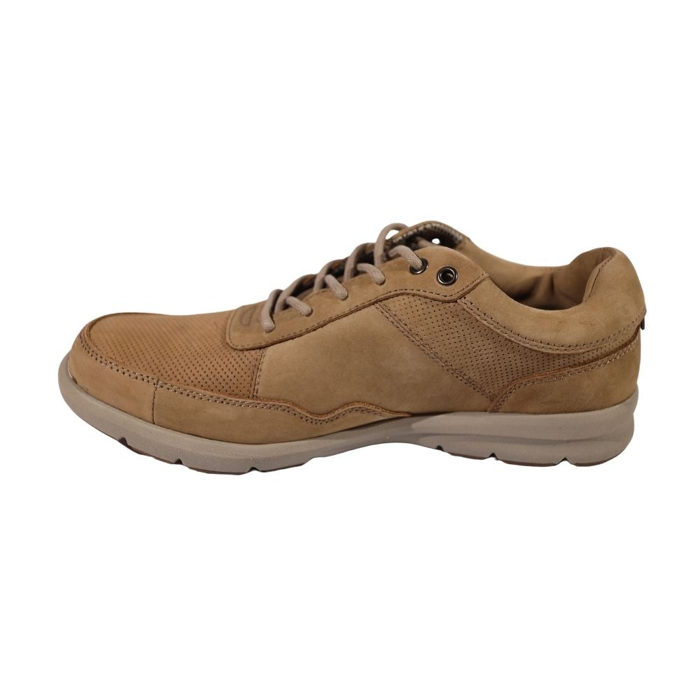 Zapato Hombre New Steve